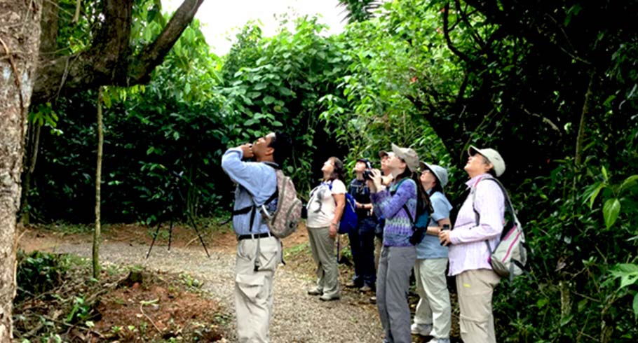 belize birding package